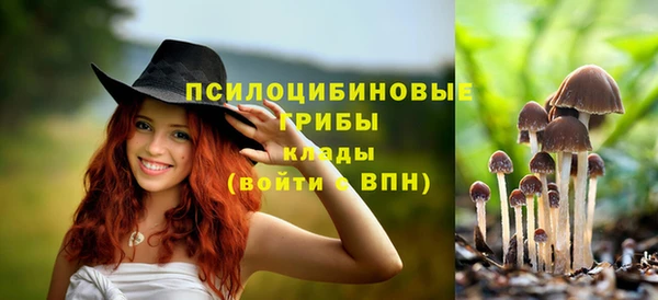 кокаин колумбия Бородино