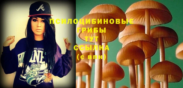 jwh Бугульма