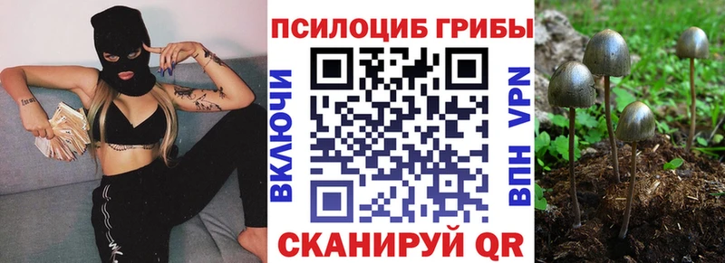 наркошоп Киржач мориарти Telegram Псилоцибиновые грибы прущие грибы